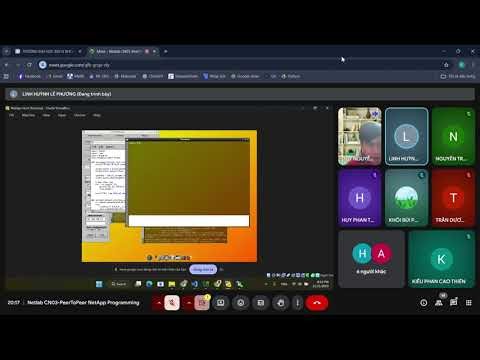 Netlab CN03 PeerToPeer NetApp Programming