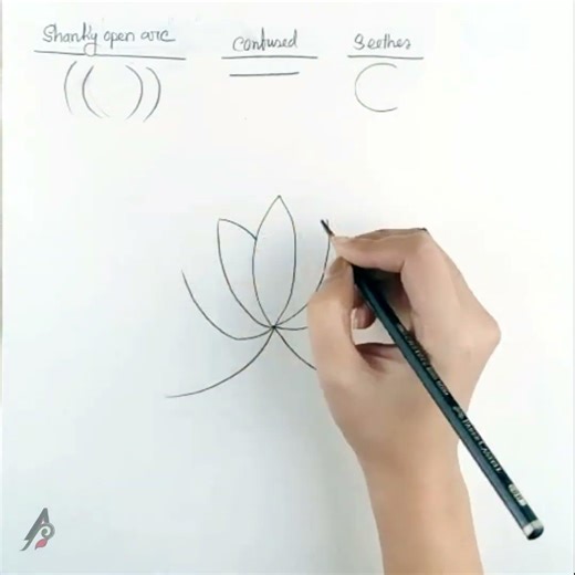 How Simple Lines Turn Into Beautiful Art