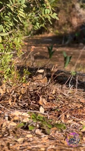 ¡No tires las latas y botellas! Simplemente reutilízalas de manera inteligente ♻ | 123 GO Spanish