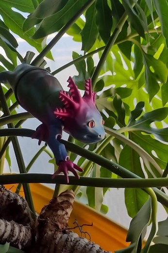 I found a new pet, Love the colors and the detail. Yes , they are water pets. Rainbow Pla Silk filament. Available in any color you want. | Misti's Crafts