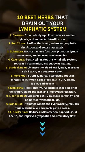 120K views · 1.1K reactions | ✨ Did you know your lymphatic system is...