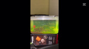 Unbelievable Fishing Moments Caught In Action