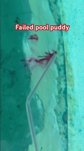 Leaking pool light (behind)