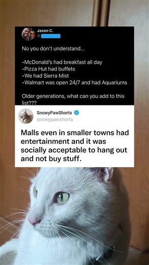 When Kids Don't Understand The Golden Age We Had