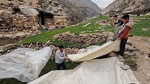 Using Plastic for the Roof of Sheepfold - Traditional Living in Modern World (2023) | Family Cooking