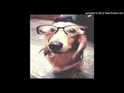 *free* 15drtt + maajins + rexv2 + tana type beat (ig- @15drtt)