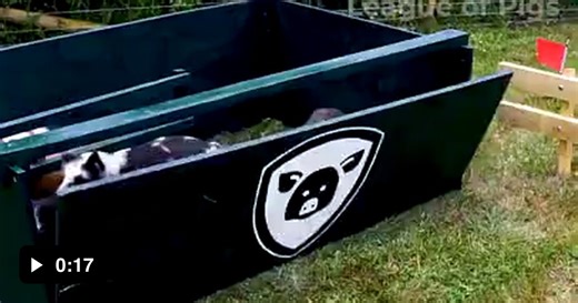 What an incredible race folks. - Funny