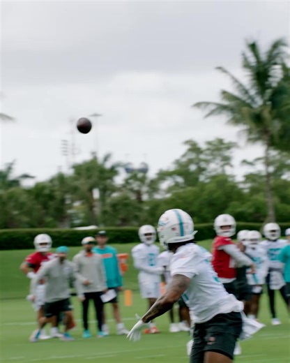 274K views · 743 reactions | Miami Dolphins on Reels | Facebook