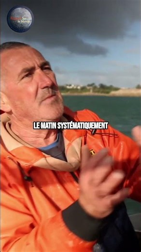 Homard bleu ou homard orange ? Le duel qui divise la France ! #shorts #documentaire