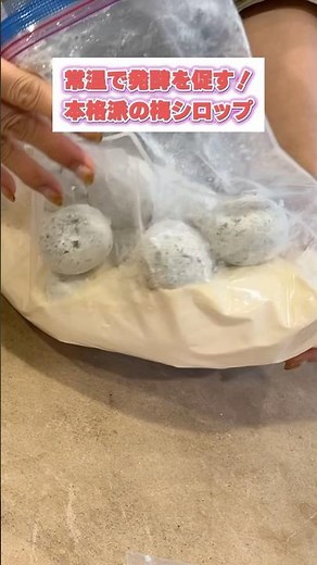 【プロの味】常温でじっくり仕込む！本格・極上の「梅シロップ」の作り方#梅仕事 #梅シロップ #発酵食品 #無添加生活 #手作りシロップ #梅