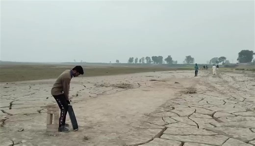 #1millionviews #viral #ground #match #cricket