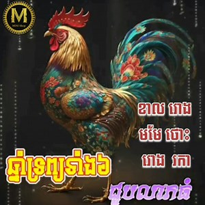 259K views · 31K reactions | ឆ្នាំទ្រព្យទាំង៦ លុយ លាភហូរចូល ៚លាភសំណាង លុយកាក់ហូរចូលមក  | MINI Shop | Facebook