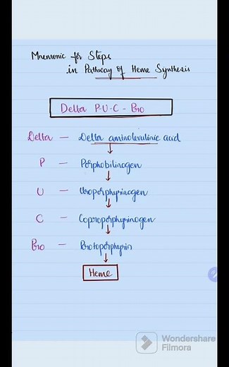 Easy Mnemonic to remember Heme Synthesis