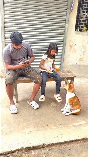 Warning: If you laugh, you lose 🤣”#TryNotToLaugh #NoLaughChallenge #FunnyVideos #LaughChallenge