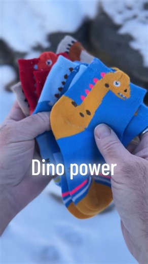 Toddler dinosaur socks 🧦 five pack of young toddler stretchable Dino socks #momlife #toddler #socks #toddlersoftiktok #dinosaur