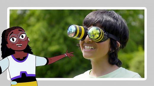 Why are bees so important? - KS2 - BBC Bitesize