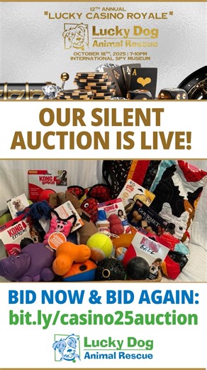 Bid early and bid often!! The silent auction for this year's Casino Night Royale is now live! We have everything from exciting getaways, self care, truffle hunting, escape rooms, and so much more all up for grabs and going fast! Bid now and bid again at bit.ly/casino25auction and win one of our incredible items or experiences. The best part? All proceeds go to saving at-risk dogs and cats! This year, we’re celebrating 16 incredible years of lifesaving work— 16 years of friendships, community, an