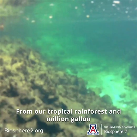 Explore Biosphere 2, a one-of-a-kind 3.14-acre facility in Arizona,...