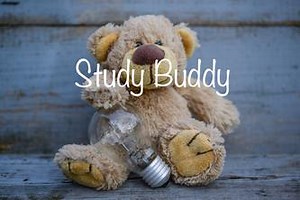 Study Buddy