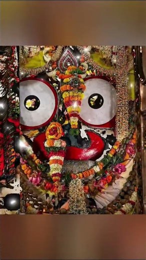 ରାଧା ସୁନ୍ଦର କି ମୀରା ସୁନ୍ଦର 💐💐🚩#jayjagannathswami