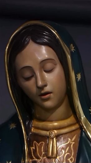 ELEVACIÓN DEL EVANGELIO #Provida #Catolicos on Instagram: "#evangelio #virgendeguadalupe #virgenmaria #avemaría"