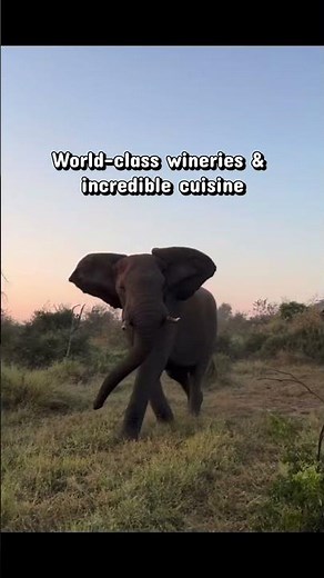 South Africa: luxury safaris, Cape Town, and unforgettable bucket-list adventures.