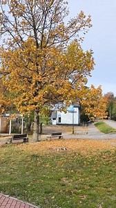 5.8K views · 107 reactions |  Stegna    Kamera obrotowa pokazuje aktualną pogodę, plażę i nadmorską promenadę w Stegnie.  Spaceruj wirtualnie po plaży, zobacz, co dzieje się na żywo! #️⃣ #Stegna #Bulwar #Plaża #MierzejaWiślana #Bałtyk #NaŻywo #KameraOnline Kliknij i zobacz na żywo: https://tvregionalna24.pl/kamery/96,stegna-plaza-bulwar-radiowej-jedynki-kamera-obroto | Stegna Plaża kamera pogodowa | Facebook