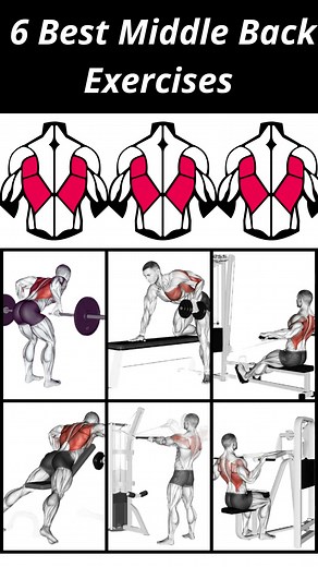 6 Essential Middle Back Exercises for Strength Gains