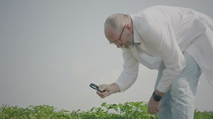 watching potato plants with a magnifier glass - Free Stock Video