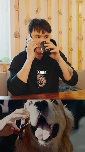 Batbilegulzii: Funny Talking Dog Commercial