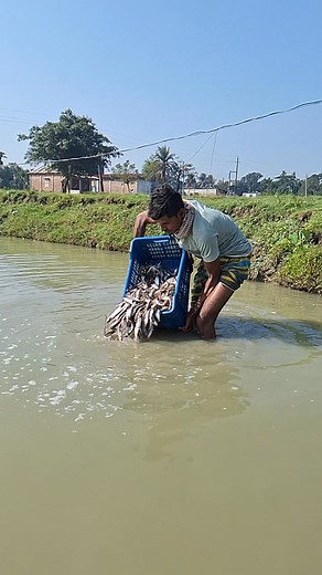 Fish baby 🐟🐟😍😍 #fishing #fish #rellsfacebook #football #canada #fishingislife #reals | Unity Farm