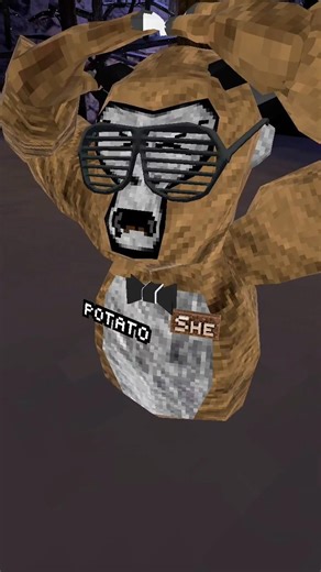 Pov: Sweats who troll #youtubeshorts #gorillatag #vr