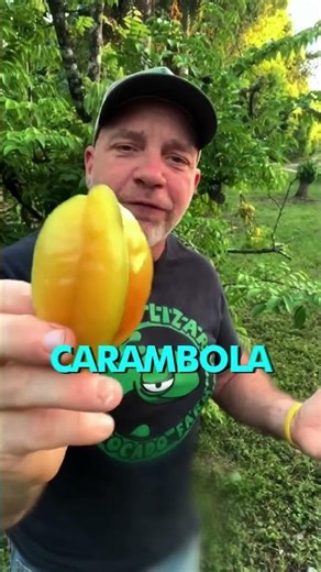 Have you ever heard of CARAMBOLA?