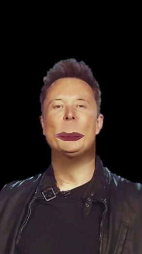 엘론 머스크 애니메이션 밈 소개