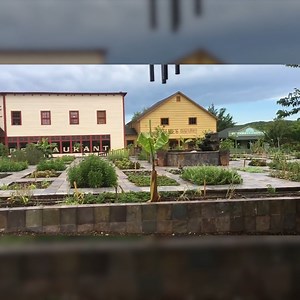 72K views · 1.3K reactions | There's So Much to Choose From!  | Bakers Creek Heirlooms Seed Co. | Homesteading Family | Facebook