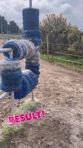338K views · 2.8K reactions | Scratching post putting in the work with these winter coats  | Graveney Equine: Horse Track System | Facebook