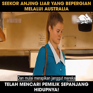 Review Film: Red Dog | Dewi Ulasan Film