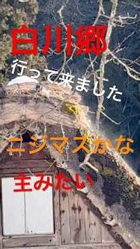 白川郷の主マス発見❣️