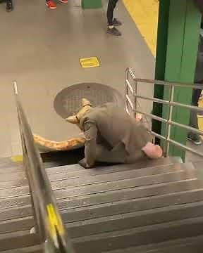 Viral Video: ‘Pizza Rat’ Serves Up Iconic Slice Of NYC Subway Life Part 1