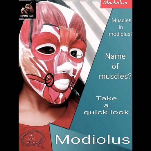 Modiolus: The hub of facial expressions - 😀A tiny point with HUGE clinical importance.