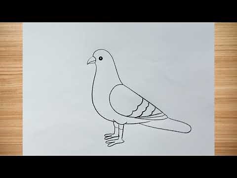 How to draw pigeon drawing easy step by step‪@DrawingTalent‬