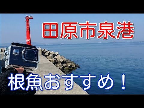 【田原市】泉港の釣り場ポイント紹介と水中映像！メバル・カサゴの根魚やアオリイカもおすすめ！【愛知釣り場】