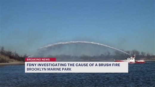 FDNY: Brush fire extinguished in Marine Park