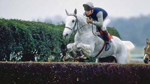 Famous racehorses: 15 of the best of all time | Horse & Hound