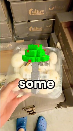 I Found grow a garden IRL… #gorillatag #vr #shorts