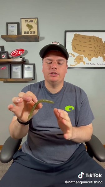 Best Colors for Plastic Worms for Bass Fishing