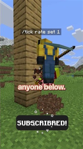 Minecraft Commands That Break The Game!