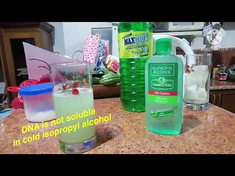 DNA Extraction Home Experiment with Bananas!