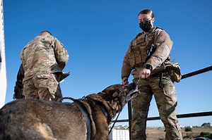 60th SFS partners with CDCR for K-9 joint-training
