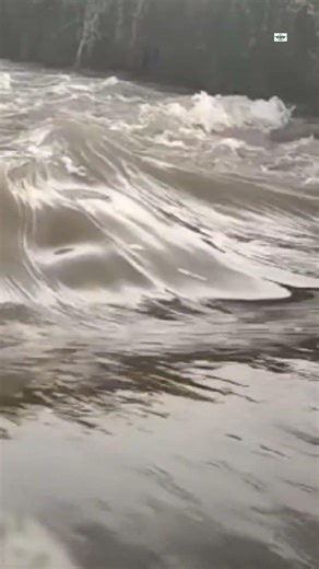 Village Canal Water Flow 🌊 Relaxing Shorts